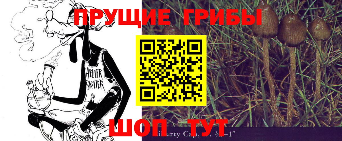 Углич  Галлюциногенные грибы GOLDEN TEACHER  Вход с VPN 